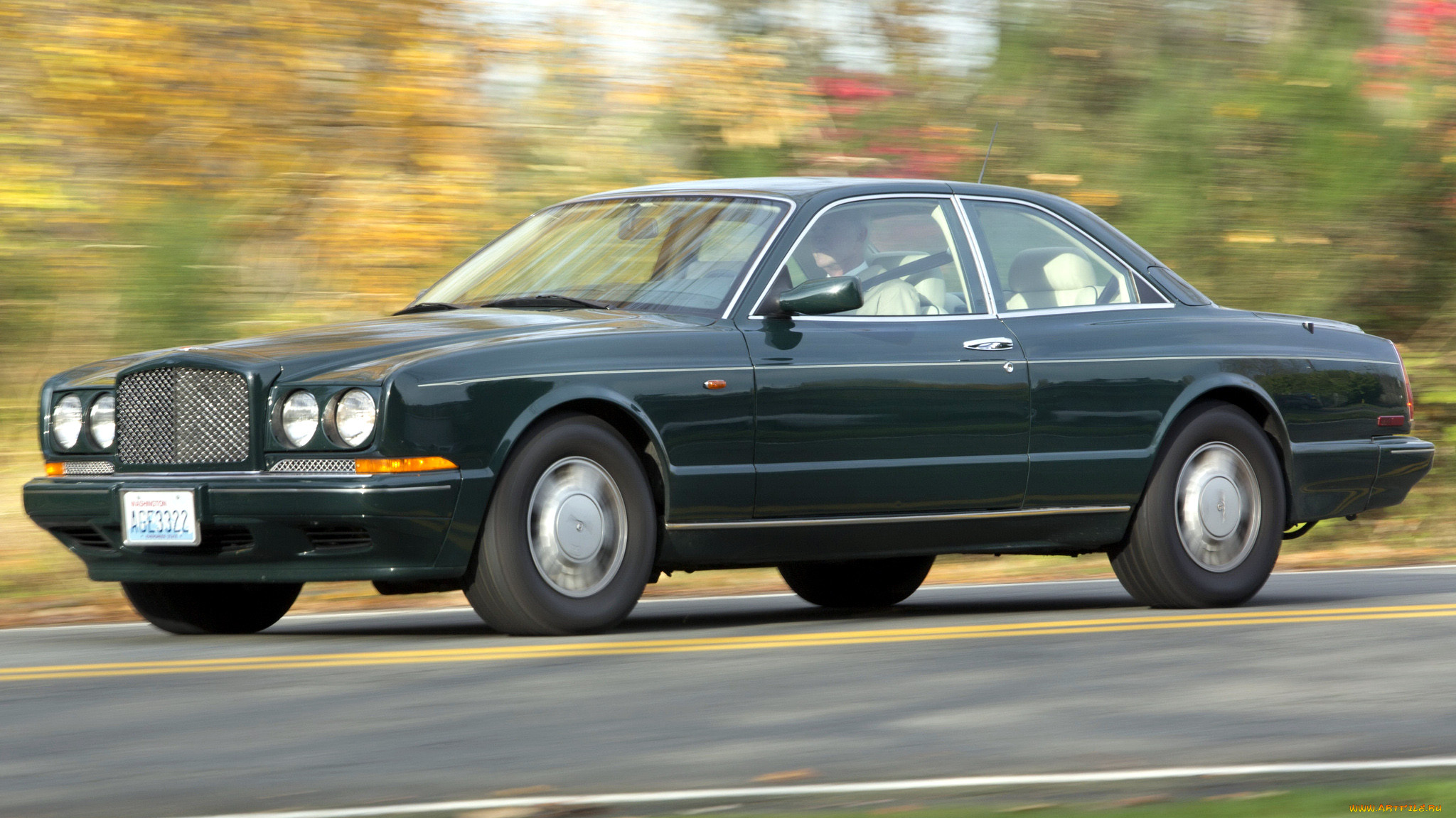 bentley, continental, , motors, -, 